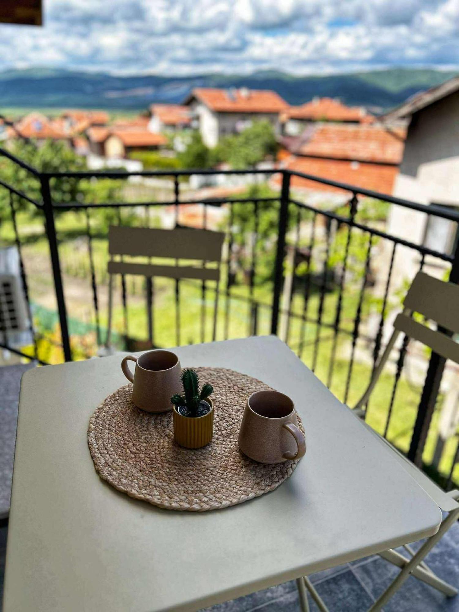 Forest Oasis Guest House Free Parking Saparewa Banja Zewnętrze zdjęcie